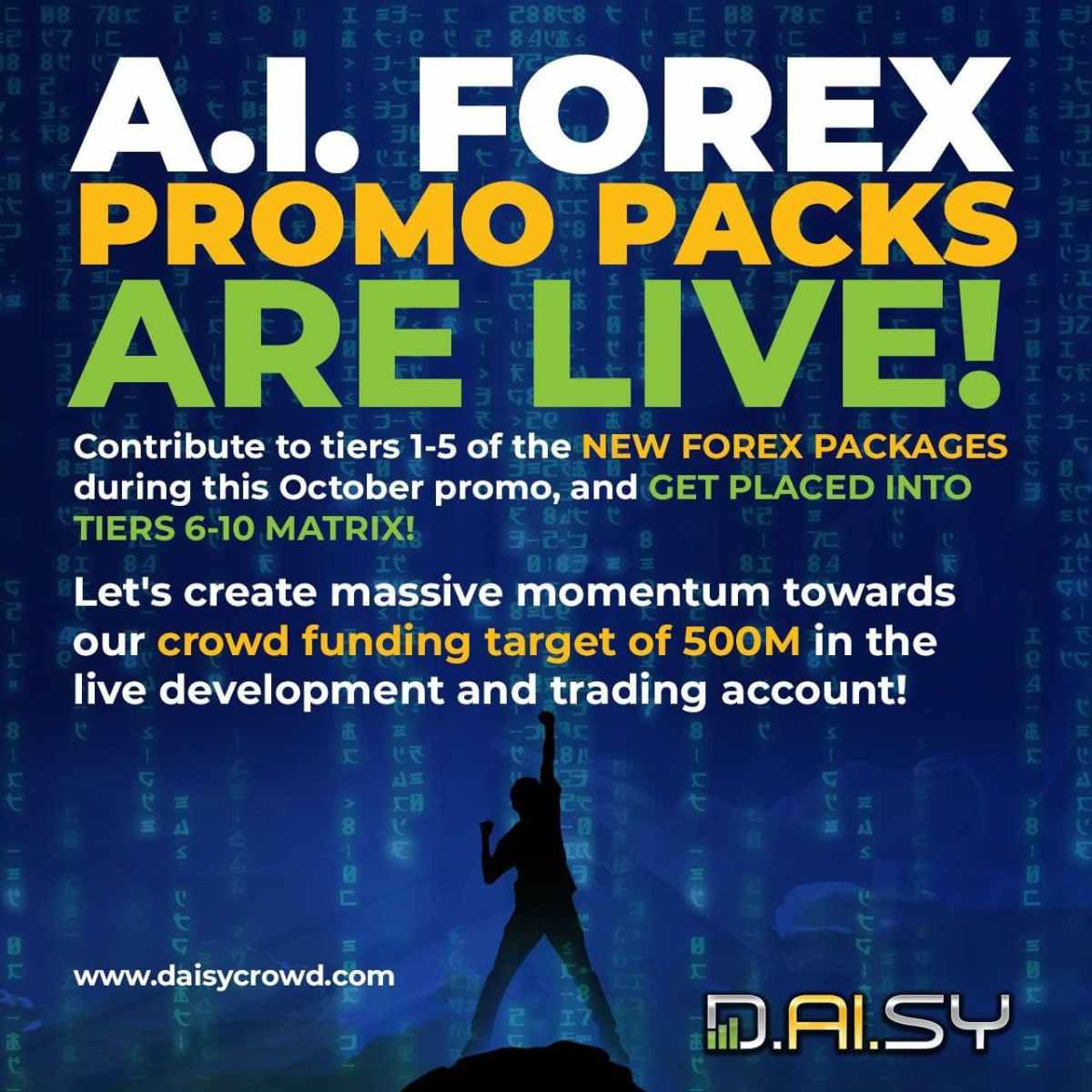 Daisy Forex is now live!